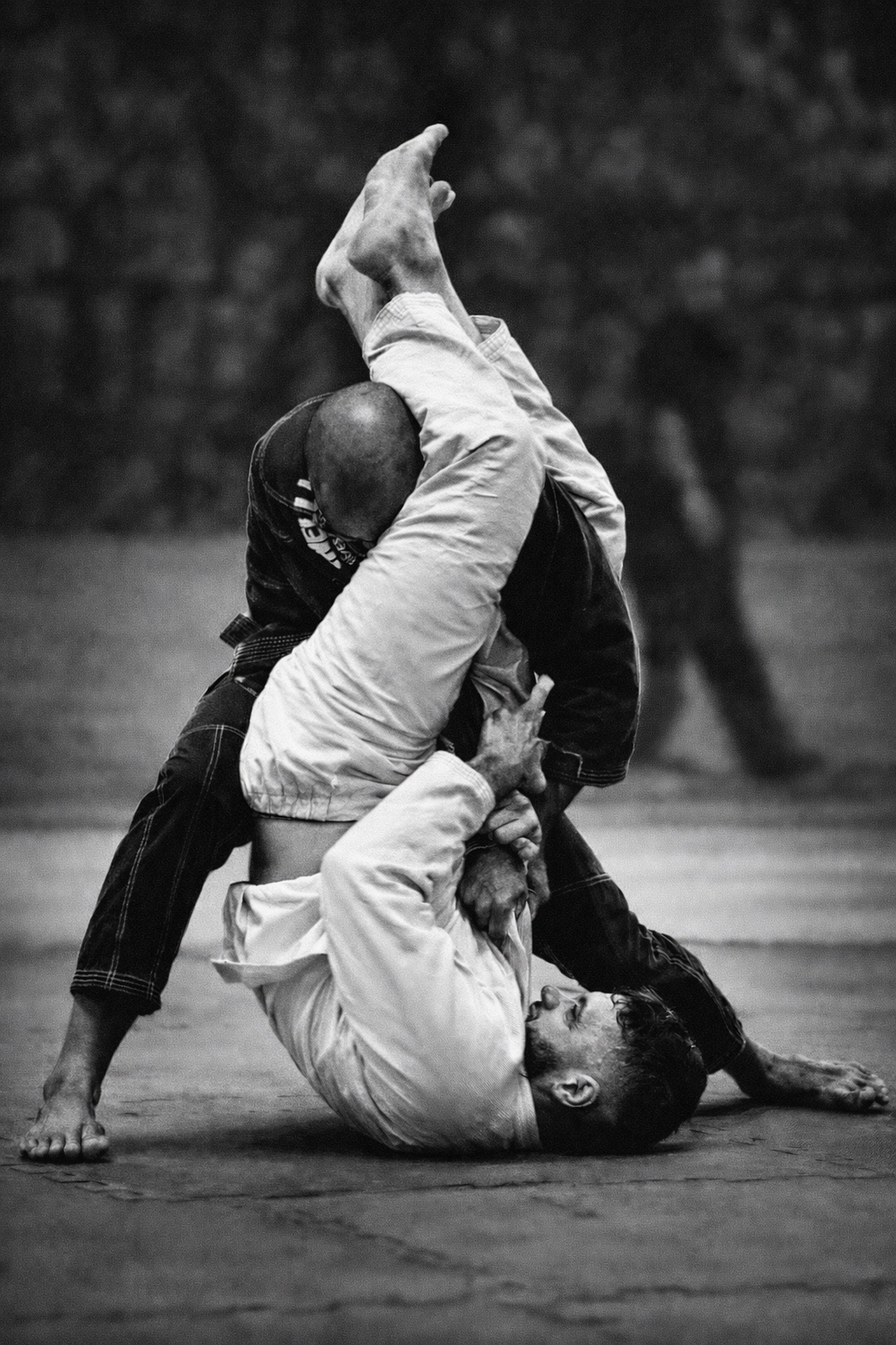 Faixa-preta de jiu-jítsu — Academia VBAS